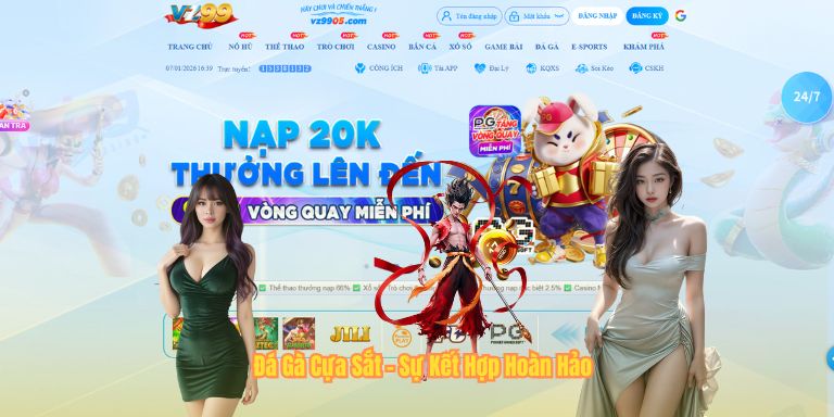 Đá Gà Cựa Sắt - Sự Kết Hợp Hoàn Hảo